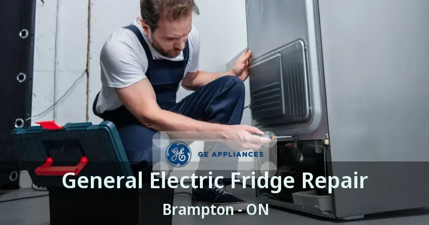 General Electric Fridge Repair Brampton - ON
