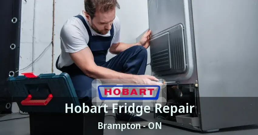 Hobart Fridge Repair Brampton - ON
