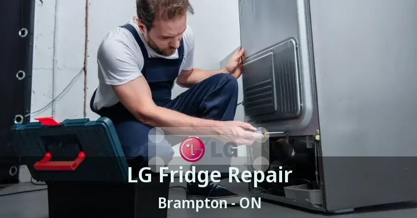 LG Fridge Repair Brampton - ON