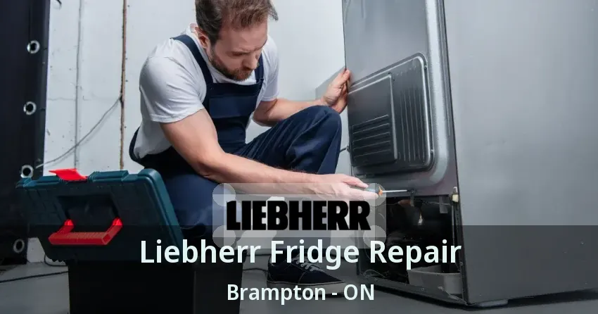 Liebherr Fridge Repair Brampton - ON