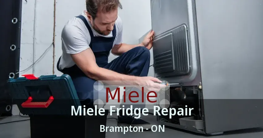 Miele Fridge Repair Brampton - ON