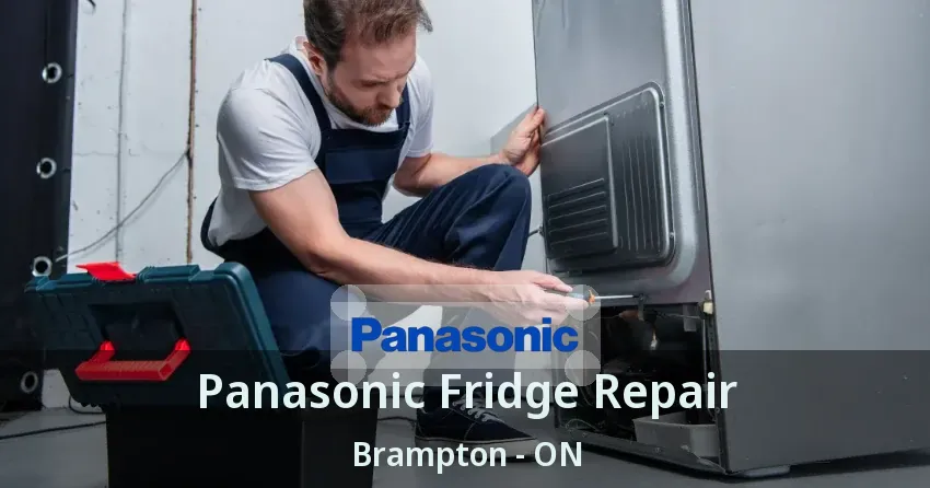 Panasonic Fridge Repair Brampton - ON