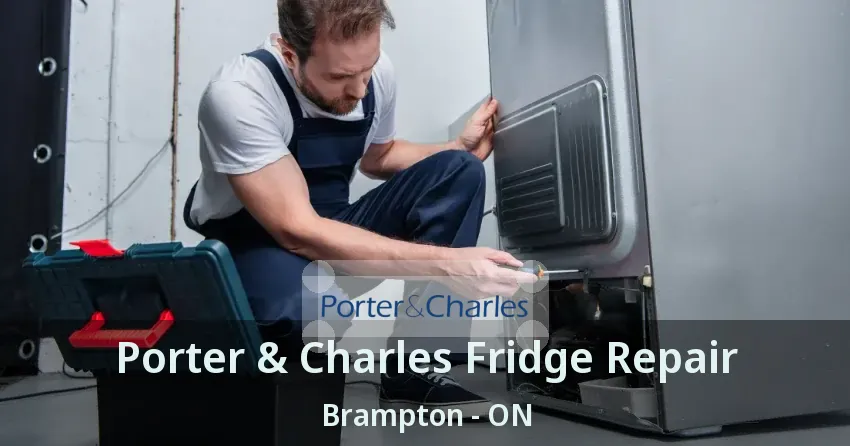 Porter & Charles Fridge Repair Brampton - ON