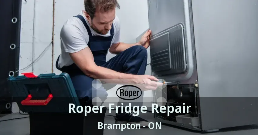 Roper Fridge Repair Brampton - ON