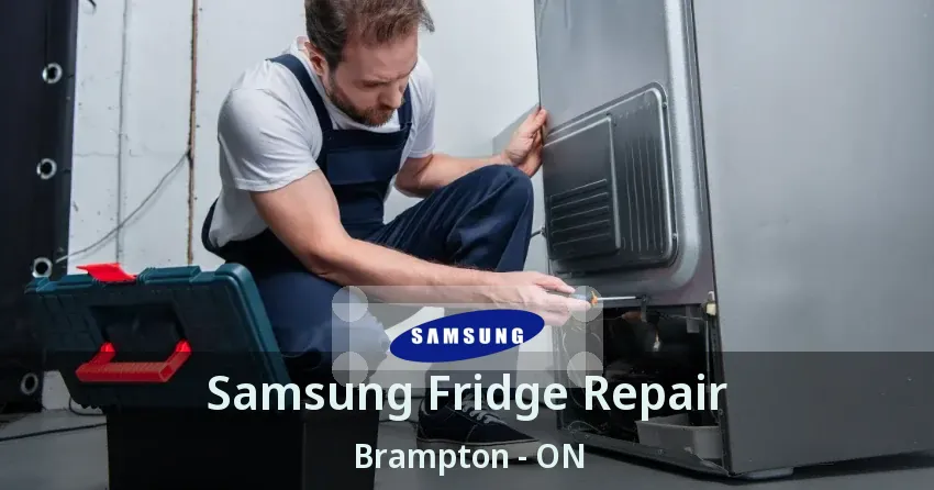 Samsung Fridge Repair Brampton - ON