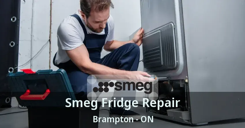 Smeg Fridge Repair Brampton - ON