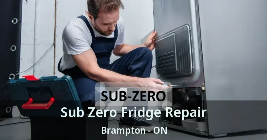 Sub Zero Fridge Repair Brampton - ON