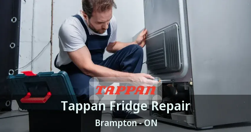 Tappan Fridge Repair Brampton - ON