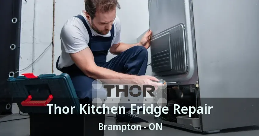 Thor Kitchen Fridge Repair Brampton - ON
