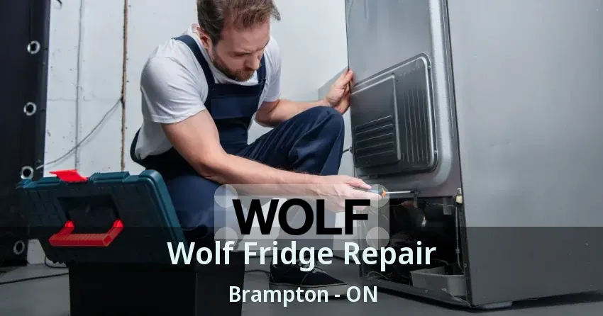 Wolf Fridge Repair Brampton - ON