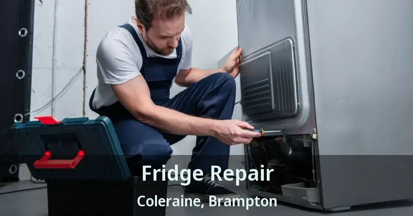 Fridge Repair Coleraine, Brampton - ON