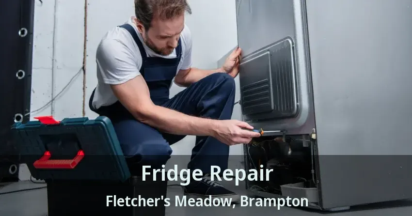 Fridge Repair Fletcher's Meadow, Brampton - ON