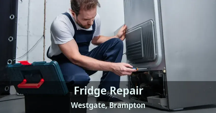 Fridge Repair Westgate, Brampton - ON