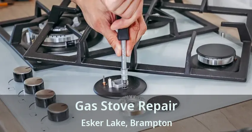 Gas Stove Repair Esker Lake, Brampton - ON