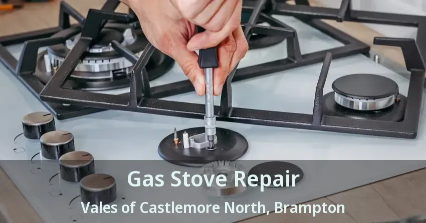 Gas Stove Repair Vales of Castlemore North, Brampton - ON