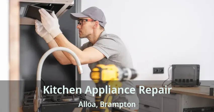 Kitchen Appliance Repair Alloa, Brampton - ON