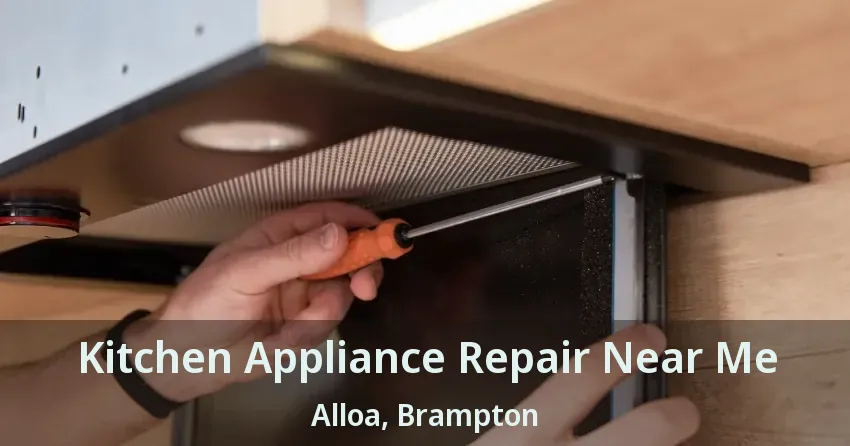 Kitchen Appliance Repair Near Me Alloa, Brampton - ON