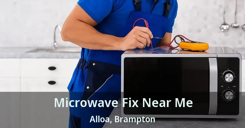 Microwave Fix Near Me Alloa, Brampton - ON