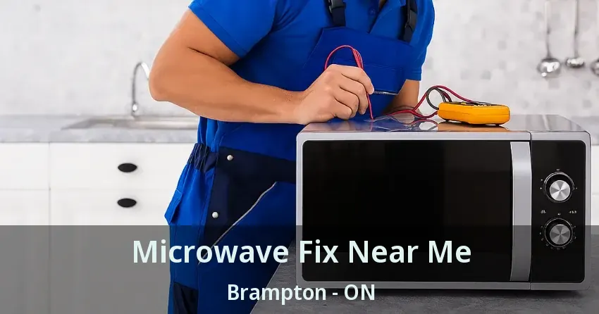 Microwave Fix Near Me Brampton - ON