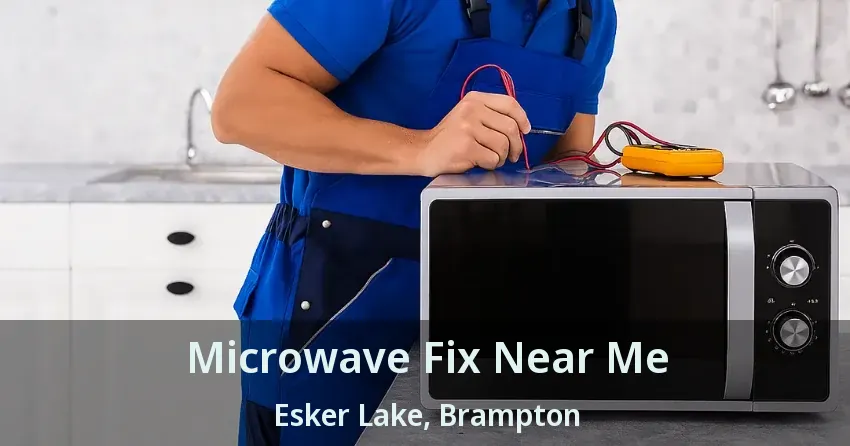 Microwave Fix Near Me Esker Lake, Brampton - ON