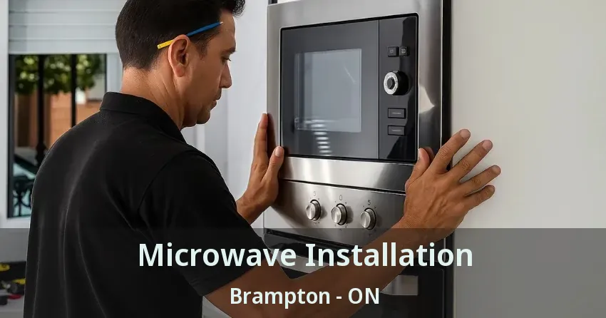Microwave Installation Brampton - ON