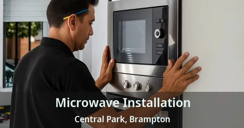 Microwave Installation Central Park, Brampton - ON