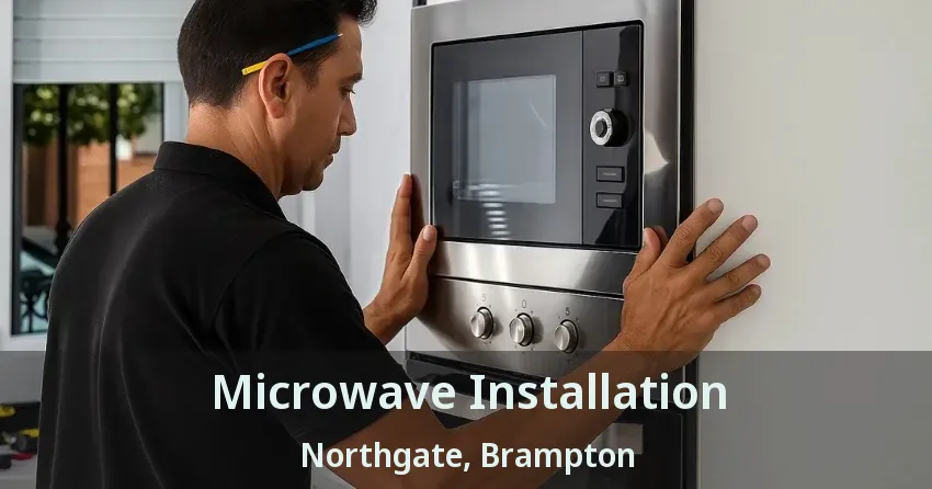 Microwave Installation Northgate, Brampton - ON