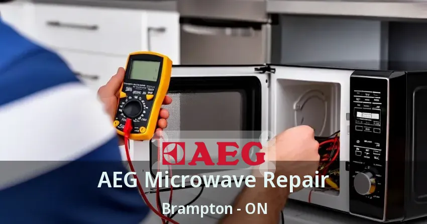 AEG Microwave Repair Brampton - ON