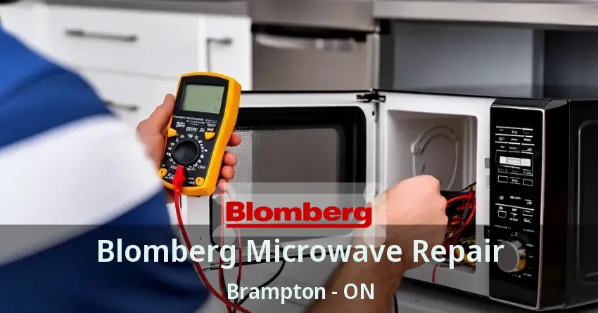 Blomberg Microwave Repair Brampton - ON