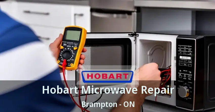 Hobart Microwave Repair Brampton - ON