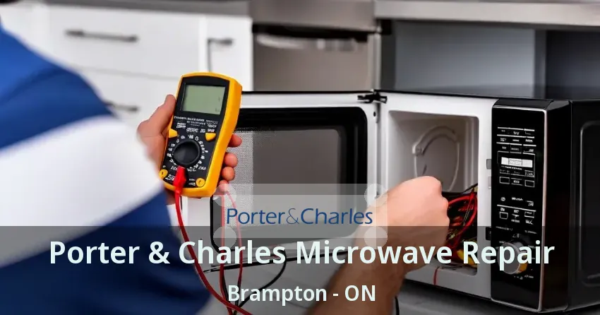 Porter & Charles Microwave Repair Brampton - ON