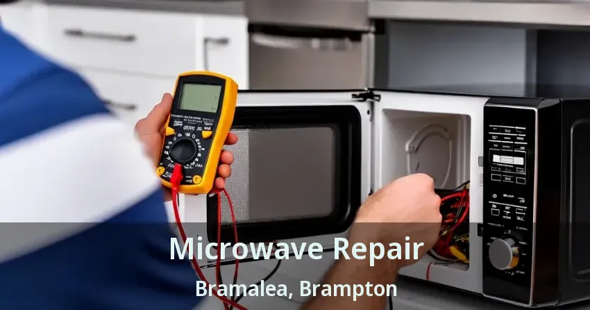 Microwave Repair Bramalea, Brampton - ON