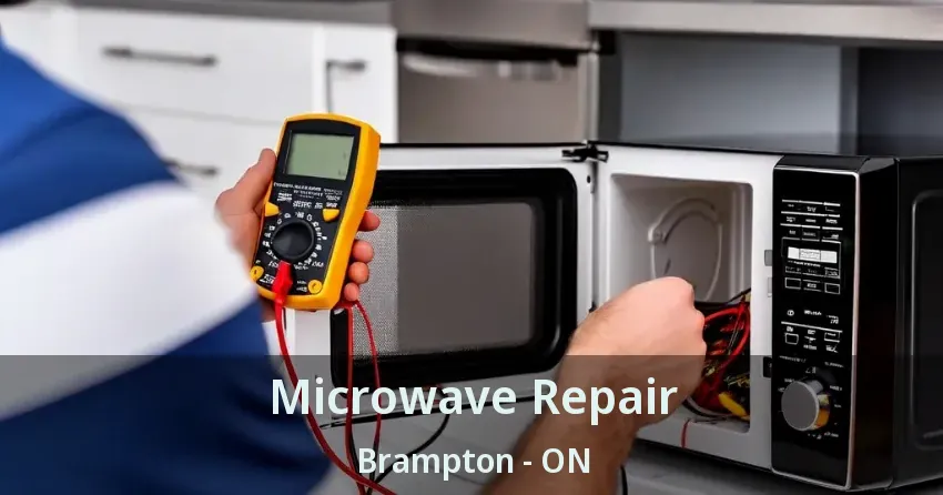 Microwave Repair Brampton - ON
