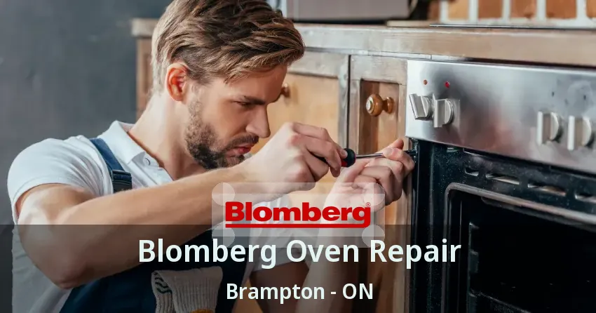 Blomberg Oven Repair Brampton - ON