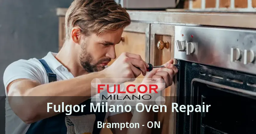 Fulgor Milano Oven Repair Brampton - ON