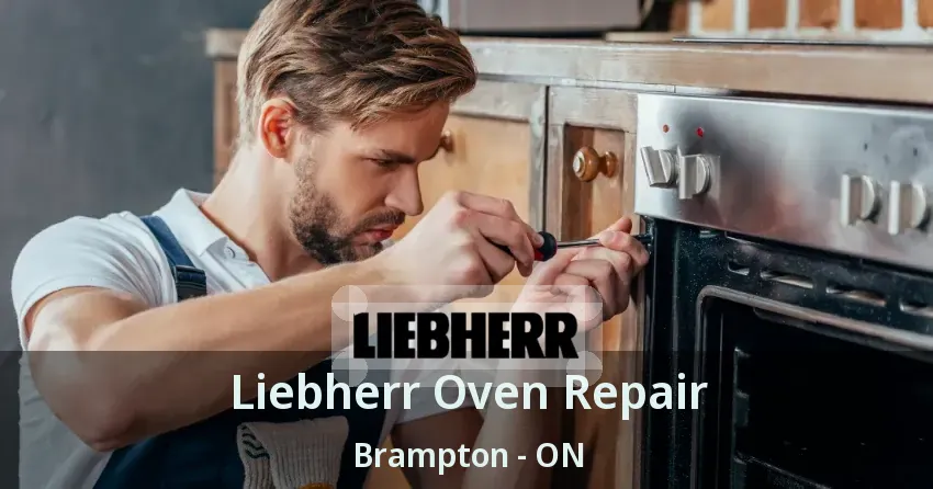 Liebherr Oven Repair Brampton - ON