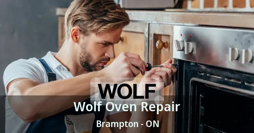 Wolf Oven Repair Brampton - ON
