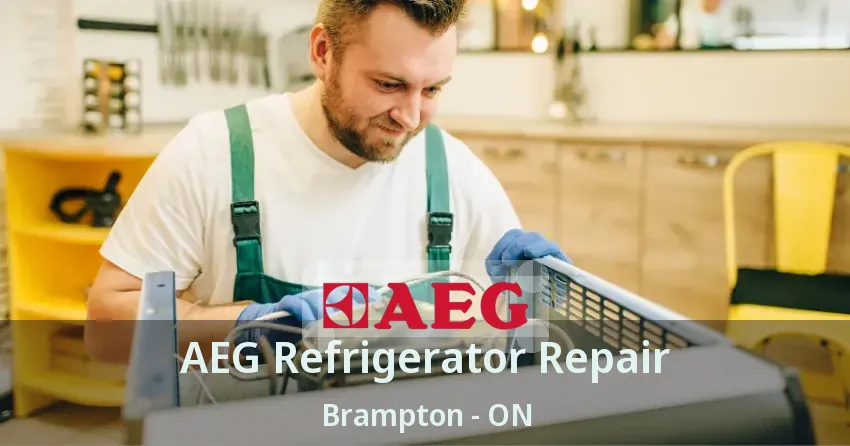 AEG Refrigerator Repair Brampton - ON