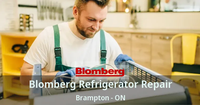 Blomberg Refrigerator Repair Brampton - ON