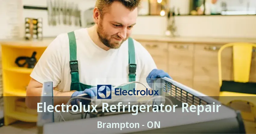 Electrolux Refrigerator Repair Brampton - ON