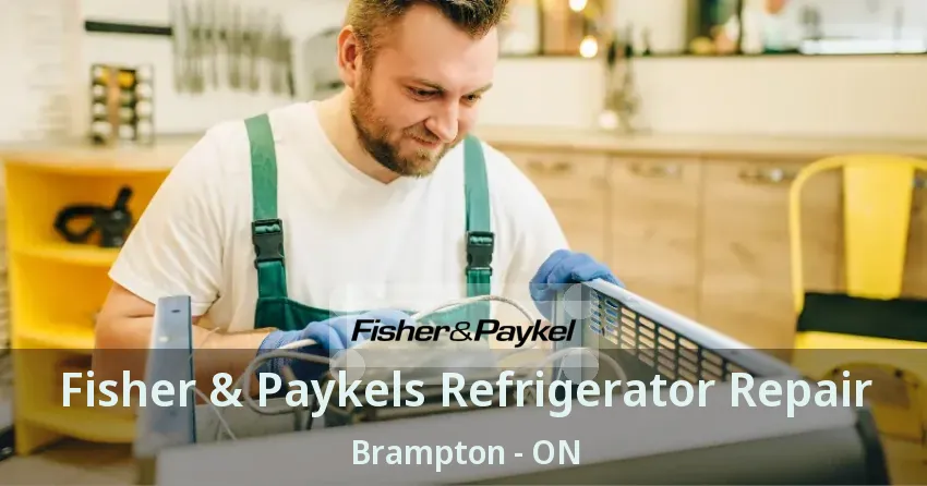 Fisher & Paykels Refrigerator Repair Brampton - ON