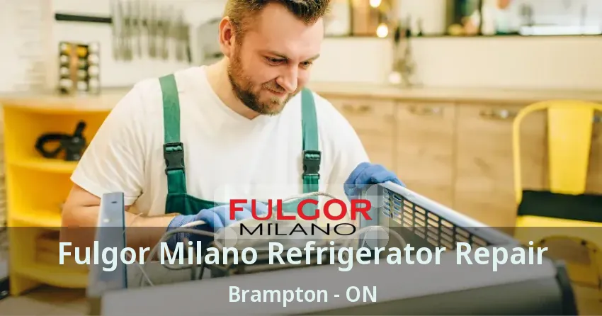 Fulgor Milano Refrigerator Repair Brampton - ON