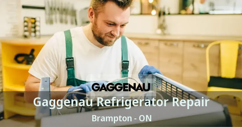 Gaggenau Refrigerator Repair Brampton - ON