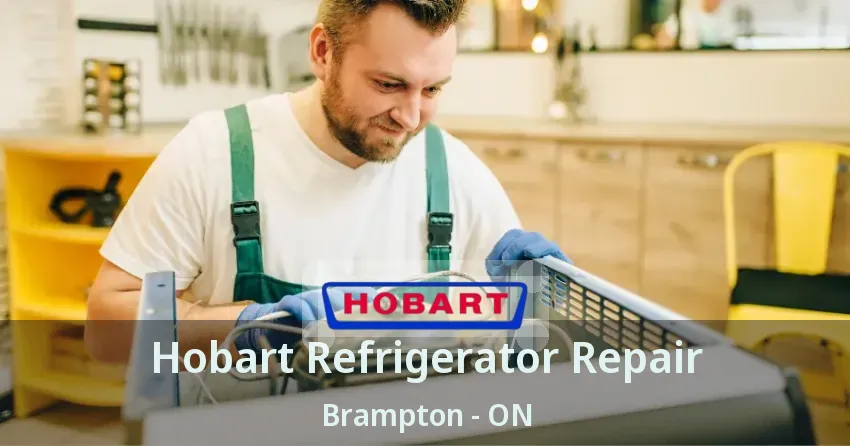 Hobart Refrigerator Repair Brampton - ON