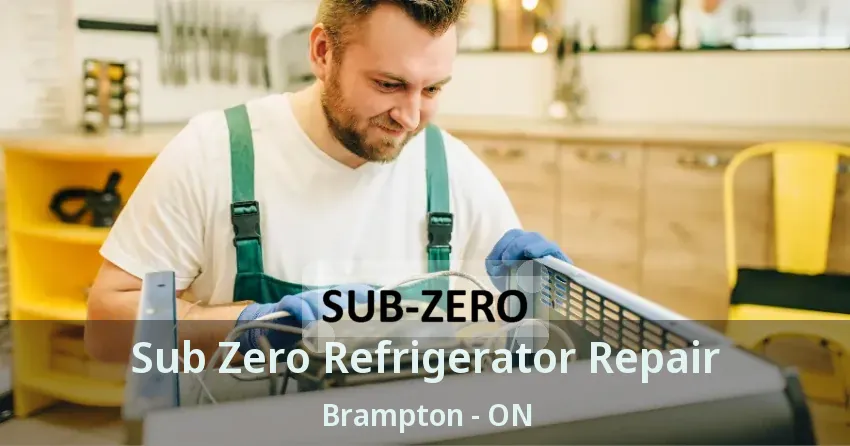 Sub Zero Refrigerator Repair Brampton - ON