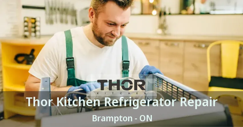 Thor Kitchen Refrigerator Repair Brampton - ON