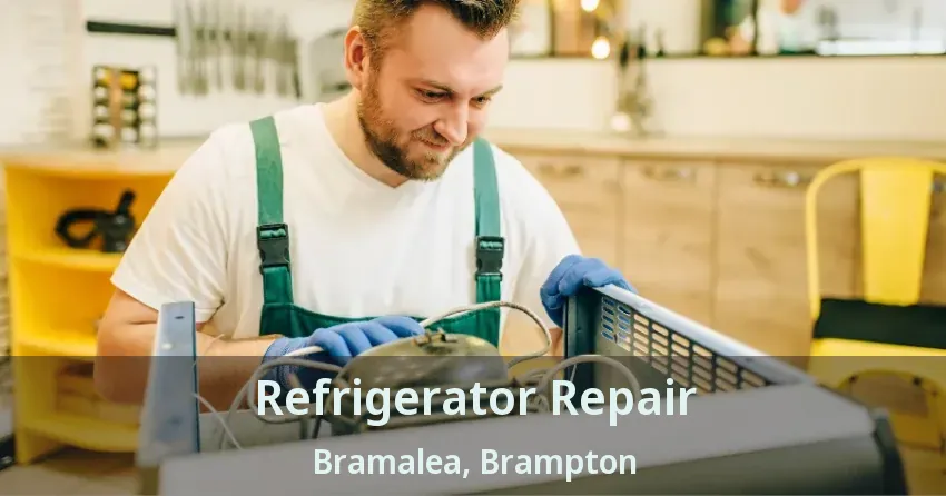 Refrigerator Repair Bramalea, Brampton - ON
