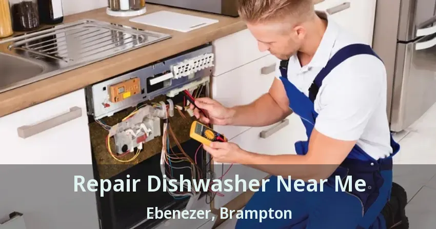 Repair Dishwasher Near Me Ebenezer, Brampton - ON
