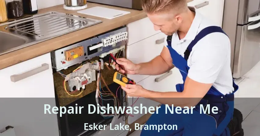 Repair Dishwasher Near Me Esker Lake, Brampton - ON