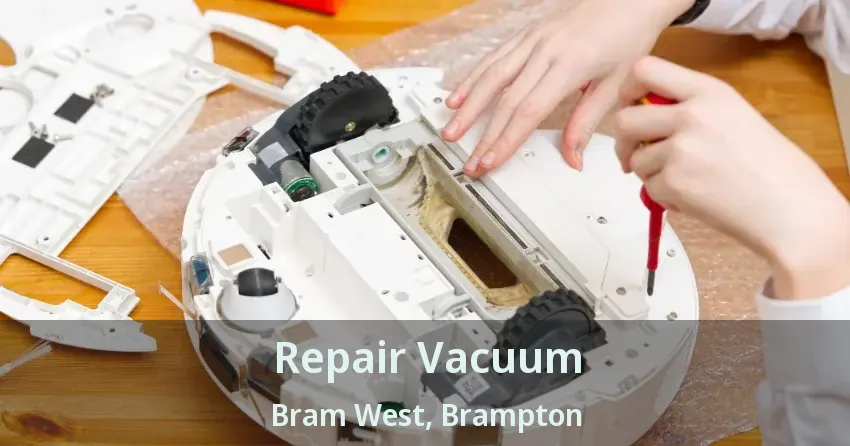 Repair Vacuum Bram West, Brampton - ON